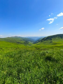 Scenic green alpine meadows of Svydovets mountain range in Carpathians