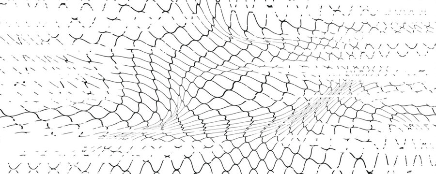 Black snake skin pattern isolated on white background vector illustration
