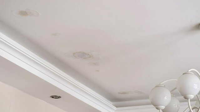 Water stains and mold marks on a residential white ceiling interior