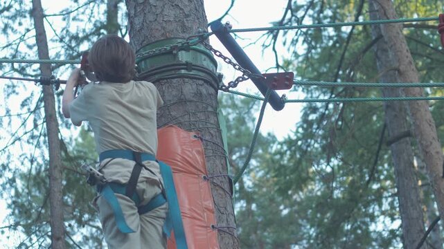 A boy from behind changes carabiners on a safety cable near a pine tree trunk. A child in special equipment prepares to overcome obstacles at a height in a rope park