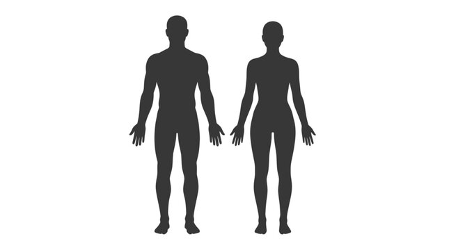 Male and female human body silhouettes standing side by side