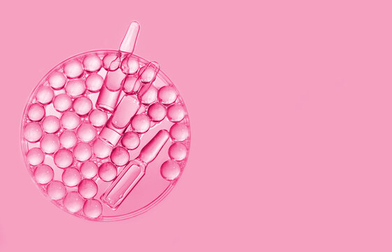 Medical ampoules and gel granules in Petri dish, pink background. Laboratory cosmetology, biotechnology, anti-aging skincare, scientific innovations