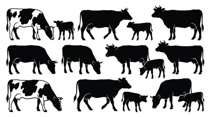 Fototapeta premium Collection of black and white cow silhouettes including calves grazing and standing isolated on a clean simple white background set