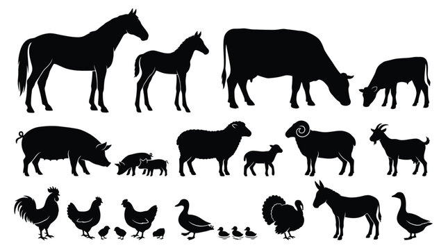 Detailed black silhouettes of various farm animals including horses cows sheep pigs goats chickens ducks and turkeys on white background