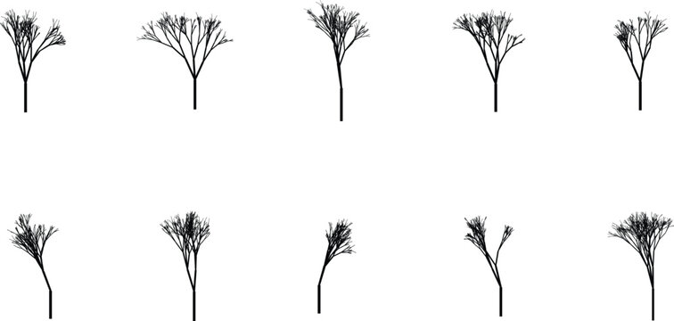 Minimalist tree branch illustrations with bare twigs Vector