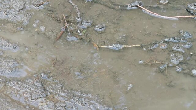 Top-down close-up of water flowing over muddy ground with bubbles from a pipeline leak.