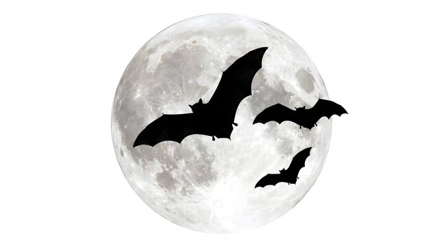 Silhouettes of three bats flying across a full moon, isolated on white background