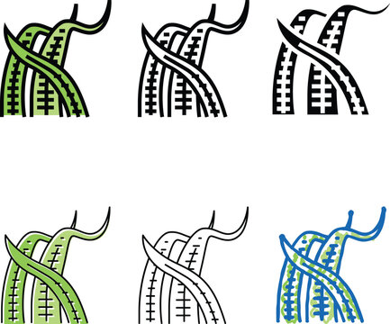 cryptocoryne balansae color icon vector. diversity cryptocoryne balansae sign. isolated symbol