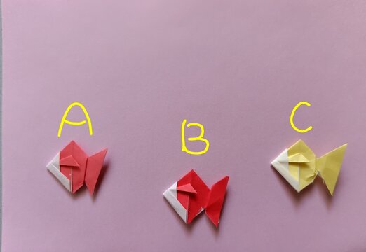 260517141630721
A,B,and C categorized goldfish.
These are made of origami.