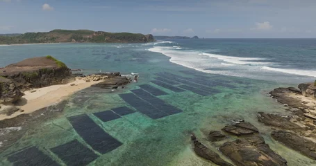 Aerial drone footage capturing the extensive seaweed farms submerged in the clear turquoise waters along the rugged coastline of Bukit Merese, Lombok, a vibrant aquafarming industry © Goinyk