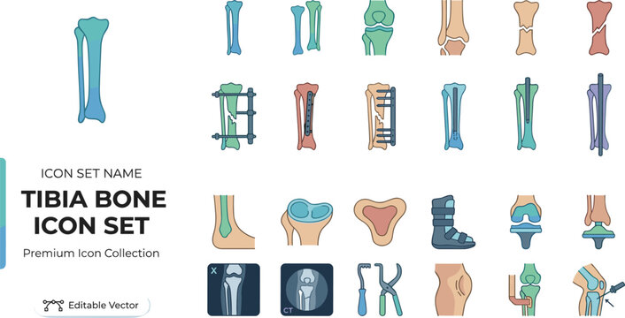 Premium tibia and knee bone medical icon set collection