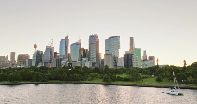 Sydney central business district cityscape rising behind the Royal Botanic Garden, featuring modern skyscrapers and Sydney Tower, with a catamaran enjoying the tranquil waters of Farm Cove at sunset