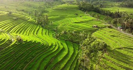 Bali, Jatiluwih Rice Terraces, a UNESCO World Heritage site, stunning aerial view intricate steps, traditional Balinese agricultural rural scene and lush green natural landscape. Travel destination © Goinyk
