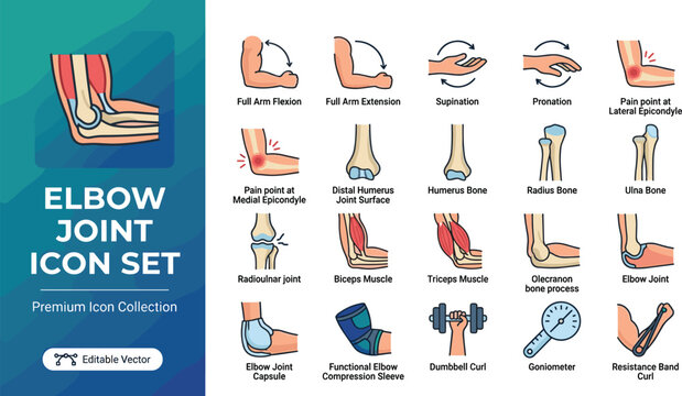 Premium elbow joint movement and anatomy icon set for medical and fitness illustrations