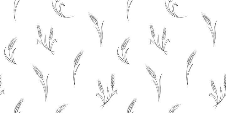 Seamless pattern with wheat and grain, ears. Perfect for bakery, farm branding, and natural cereal packaging designs.