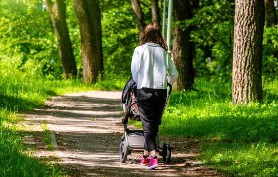 Mother wheeling a pram in the Park
