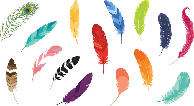 Colorful feather vector element set featuring peacock tribal and boho styled bird plumes isolated on a clean white background for design