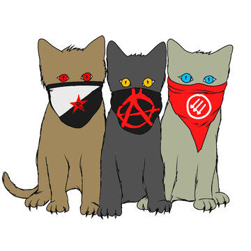 cats antifa