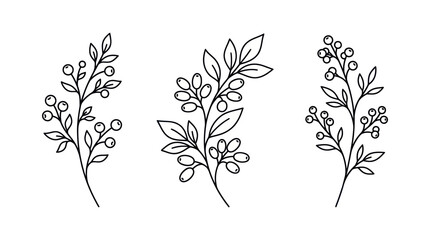 Simple black outline berry branch icons set © Ambon