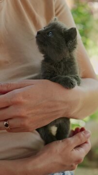Dark kitten rests in human arms outdoors, gazing upward with bright eyes, soft fur, warm skin tones here