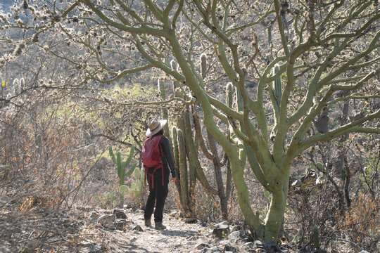 Hiker with red backpack explores a desert canyon