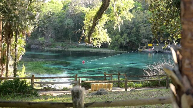 Tranquil clear water at Rainbow Springs State Park