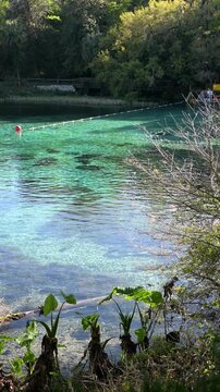 Beautiful clear turquoise water at Rainbow Springs State Park