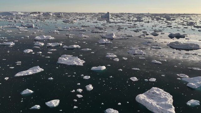 Vast arctic ocean filled with floating icebergs