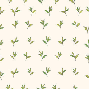 Tea leaves seamless pattern. Green tea leaf botanical background. Hand drawn herbal foliage texture. Natural organic plant repeat. Minimal floral vector wallpaper for fabric textile wrapping paper pac
