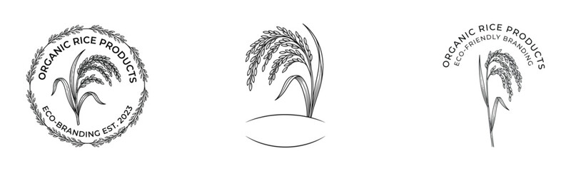 Naklejka premium Vintage organic rice botanical engraving collection featuring rice stalk, grain, circular badge, premium logo and eco-friendly packaging elements. Hand drawn monochrome vector illustration.