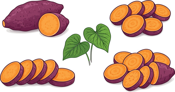 Sweet potato vector set with whole yam sliced pieces and green leaves isolated on white background