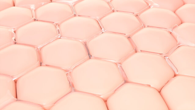 Skin cells absorb Collagen, Vitamin, Serum for repair wrinkles skin, 3D rendering