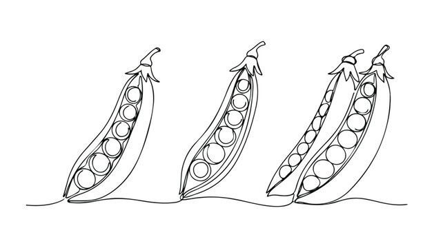 Continuous Simple black line art drawing set of Peas in a minimalist style on a white background.