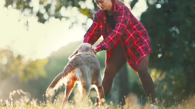 Playing with a dog in a sunny park in the afternoon