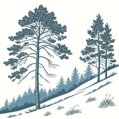 Of a forest landscape with tall pine trees on a grassy hill, isolated on a clean white background, style © md munna
