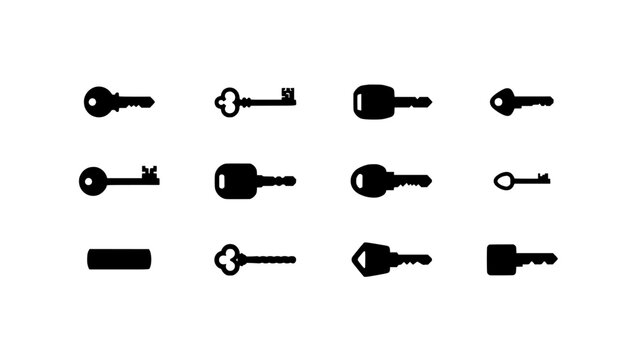 Keys in Various Shapes and Designs Arranged in a Grid of Three Rows Featuring Key, Lock, Security with Access and Door Elements
