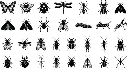 Insect and bug silhouettes in black flat design style © Monochrome studio