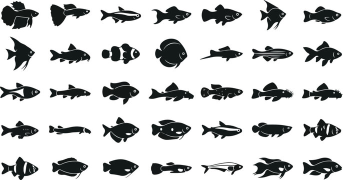 Collection of various freshwater aquarium fish silhouettes