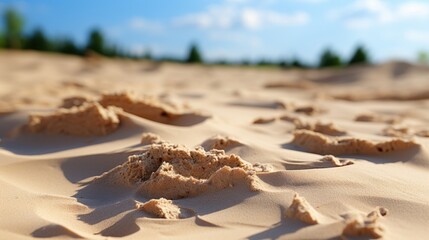 Obraz premium A close-up view of sand dunes with trees in the background under a blue sky