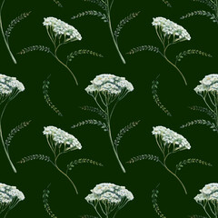 Yarrow seamless pattern watercolor illustration on dark background. Achillea medicinal herb for premium men grooming packaging, organic detox cosmetics branding, luxury herbal elixir bottle print © AnKa