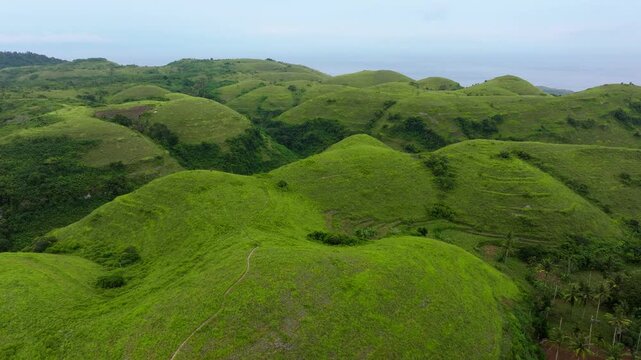 Aerial Drone View of Teletubbies Hills &ndash; Nusa Penida Indonesia Rolling Green Landscape