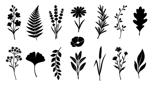 Set of 14 wild floral silhouettes in minimalist style. Plants, Leaves, Flowers, Fern, Lavender, Botanical Elements, Nature Collection. Vector illustration.
