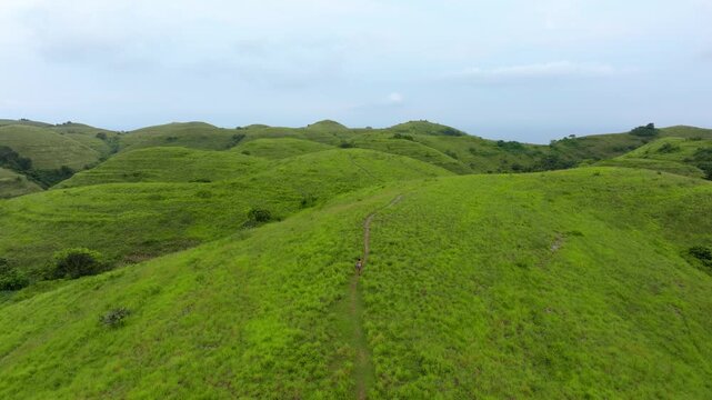 Teletubbies Hills Beautiful Green Landscape and Scenic Mountain Terrain | Nusa Penida Indonesia Aerial View