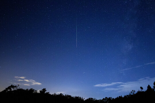 Perseid Meteor Shower Night Sky with Stars and Trees Silhouette