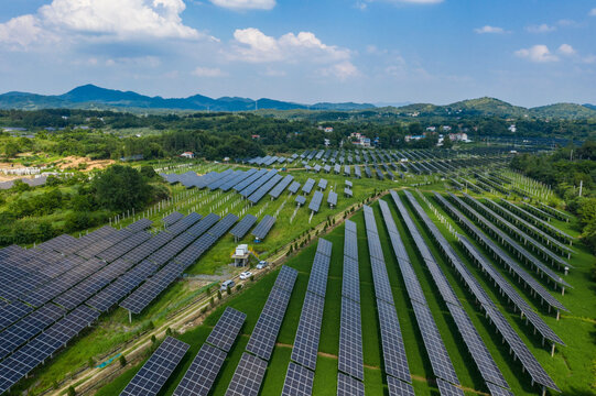Large-Scale Solar Panel Farm with Mountain Landscape - Renewable Energy