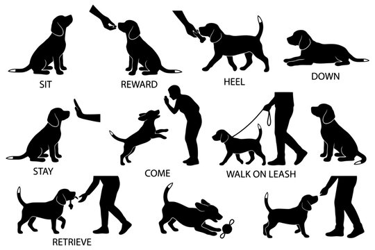 Dog training commands tutorial with silhouette illustrations.
