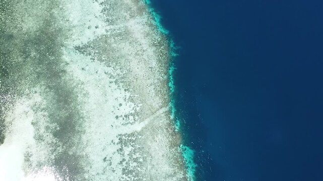 Aerial birdseye seascape view above coral reef environment of Raja Ampat West Papua Indonesia with crystal clear, turquoise, and deep blue ocean water