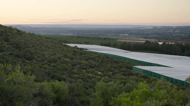 Long covered citrus farm rows border dense green bushveld as the camera looks out over a wide rural valley at sunset.
