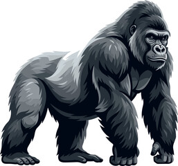 Powerful silverback gorilla standing on all fours in profile view isolated on a clean white background vector illustration for wildlife mascot design © Md