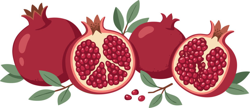 Fresh red pomegranate fruits whole and half sliced showing juicy seeds with green leaves isolated on white background vector illustration for packaging design